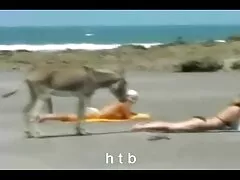 Grande niño maldito pequeña porno romantico castellano rubia